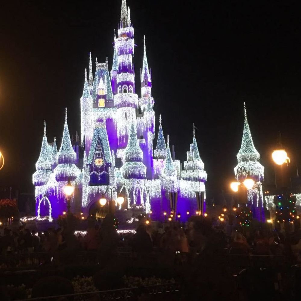 Meet your Posher, Paula